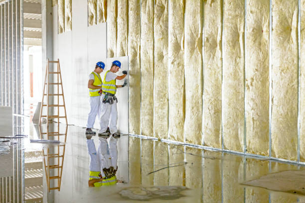 Garage Insulation Installation in Olga, FL